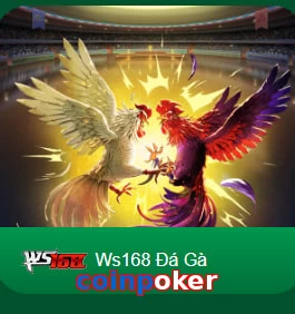 coinpoker